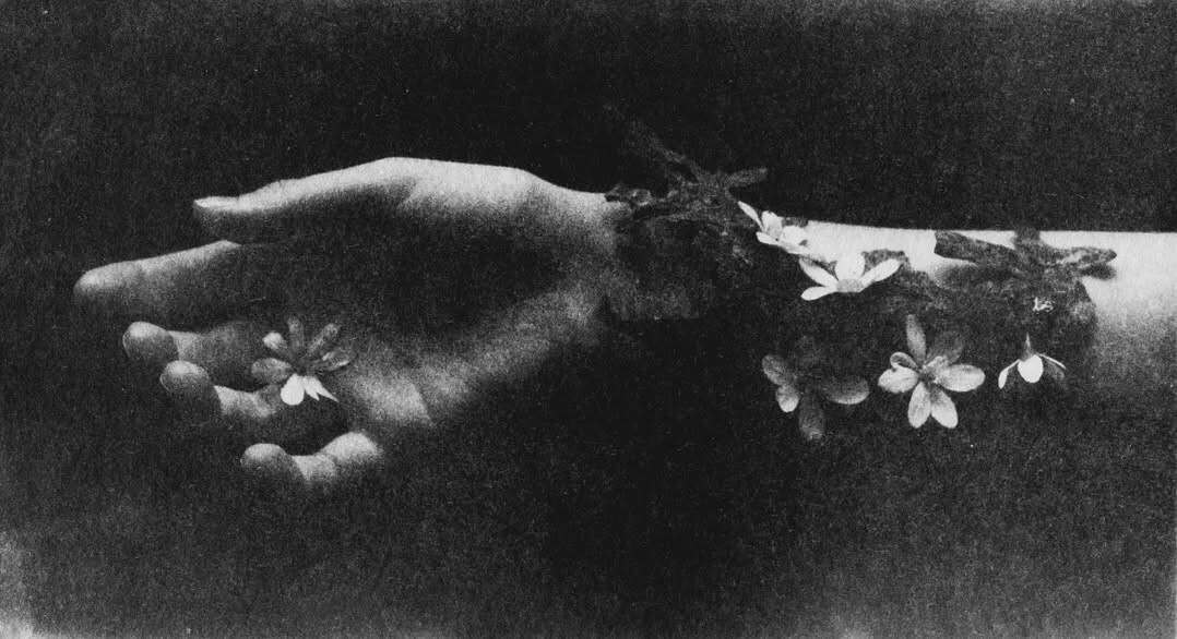 No todo salió como planeé. Pero aprendí más de lo que esperaba.