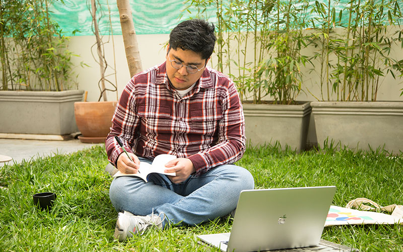 Diferencias Clave entre Cursos Online, Diplomados y Programas